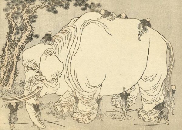 elefant2